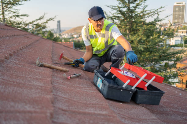 Best Carpet Removal and Disposal  in Loogootee, IN
